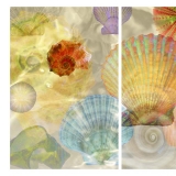 Sea shells, tryptych, photography, pastel, ocean, beach, sea shore