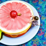 photography, children, fruit, grapefruit, fun