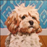 Your Pet Painting