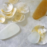 sea, shells, white, sea glass, sand, ocean, beach